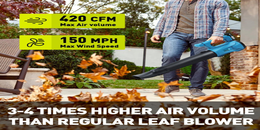 DODOWIN Cordless Leaf Blower